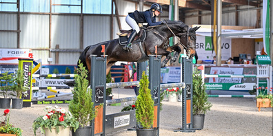 Elodie Hanselmann auf der Stute Con Cora