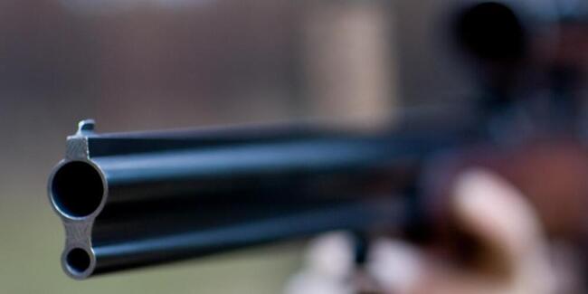 Vier Männer werden beschuldigt, im Toggenburg ausserhalb der Jagdzeit Wildtiere geschossen zu haben. (Symbolbild)