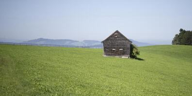 Die Böden auf der Eggersrieter Höhe im Kanton St. Gallen sind stark mit PFAS belastet. Das Fleisch von dort weidenden Tiere überschreitet die Grenzwerte, weshalb der Kanton Massnahmen einleitete. (Archivbild)