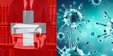 Verbot hat Einfluss auf den Ausgang der Volksabstimmung.