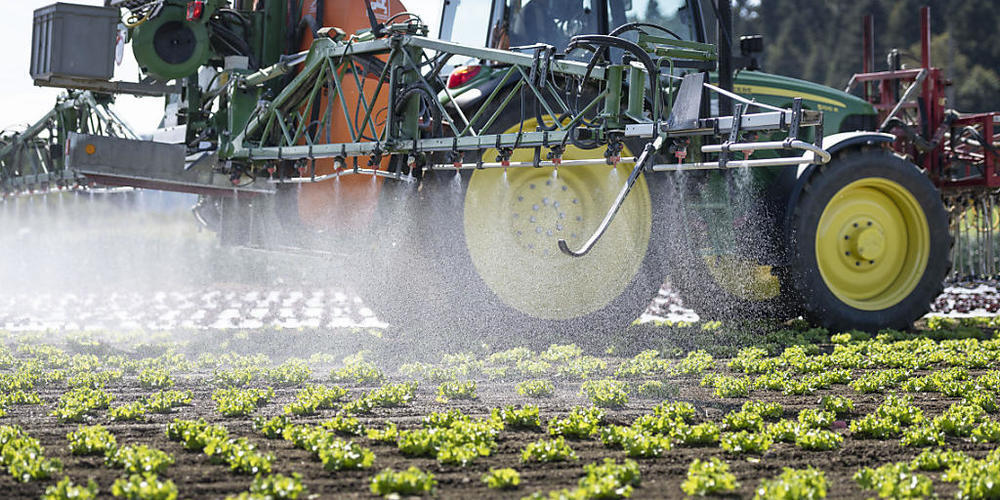 In den Bächen im Kanton St. Gallen hat es zu viele Spuren von Chemikalien, wie eine Untersuchung zeigt. Ein Problem sind Pestizide aus der Landwirtschaft (Symbolbild).