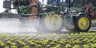 In den Bächen im Kanton St. Gallen hat es zu viele Spuren von Chemikalien, wie eine Untersuchung zeigt. Ein Problem sind Pestizide aus der Landwirtschaft (Symbolbild).