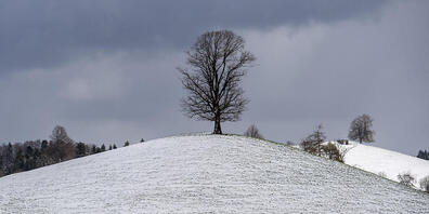 Eine Kaltfront bringt den Winter zurück: Überzuckerte Landschaft in Sattel SZ am Mittwoch.