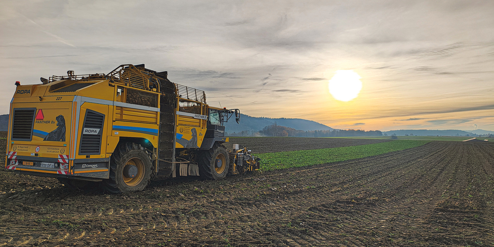 Stillstand in der Zuckerrübenwelt – doch die Hoffnung auf einen Lichtblick bleibt. Wie lange dauert es noch, bis es weitergeht?