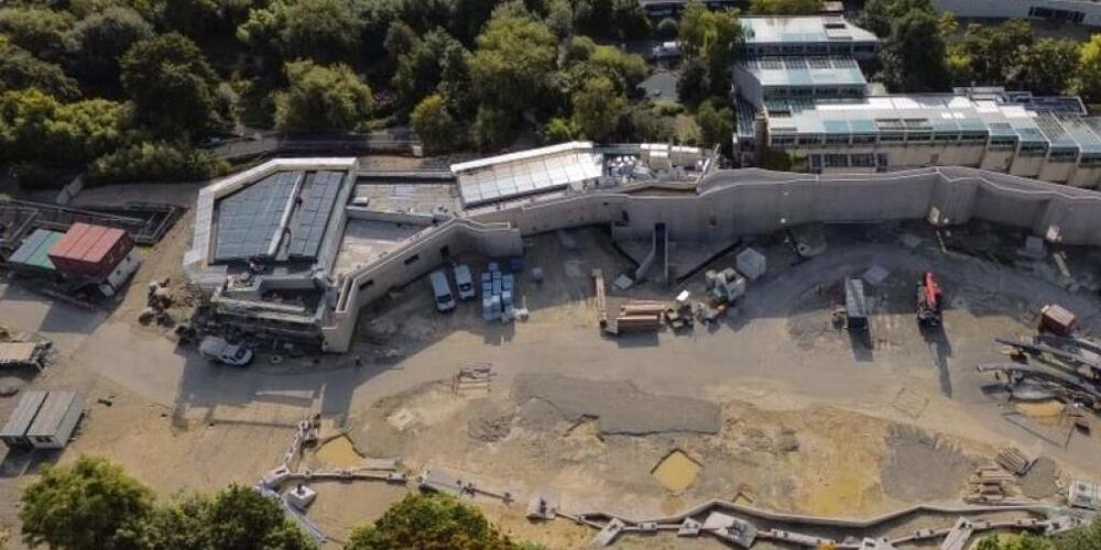 Beim Bau der Pantanal-Voliere im Zoo Zürich kommt es zu Verzögerungen. Der Zoo muss eine neue Stahlbaufirma suchen.