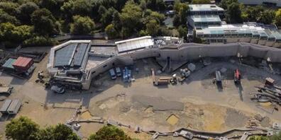 Beim Bau der Pantanal-Voliere im Zoo Zürich kommt es zu Verzögerungen. Der Zoo muss eine neue Stahlbaufirma suchen.