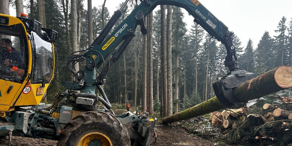 Der Forstbetrieb der Ortsbürgergemeinde St.Gallen wird in den kommenden Wochen mit geplanten und notwendigen Holzschlägen im Farnenwald beginnen. 