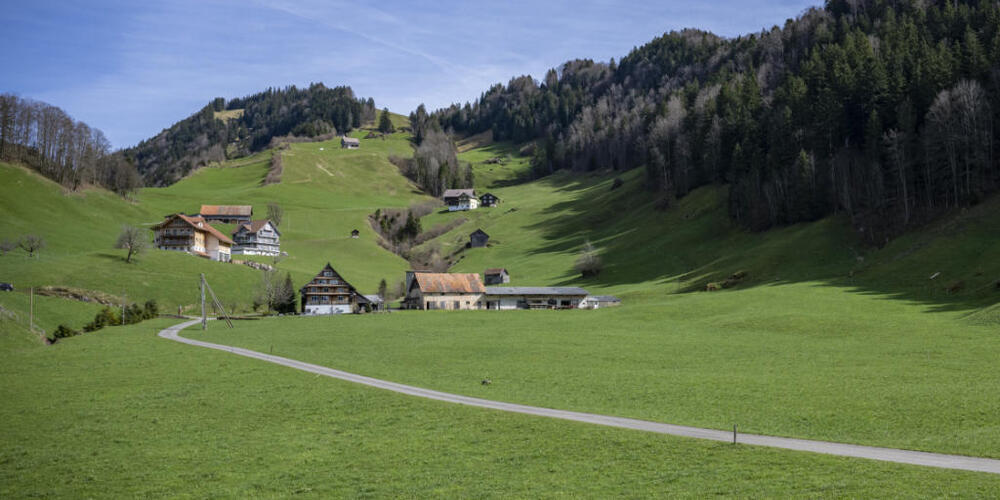 Die Nutzungsplanung für die im Gebiet Altstatt in Sattel SZ geplante Deponie geht in die zweite Auflage. (Archivaufnahme)