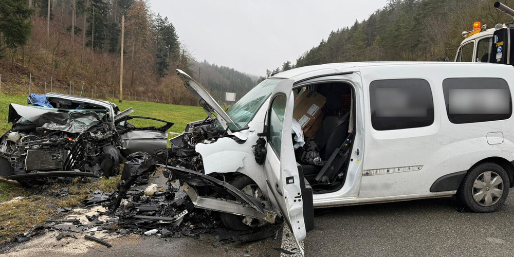 Die Unfallursache und der Unfallhergang sind Gegenstand laufender Ermittlungen der Schaffhauser Polizei.