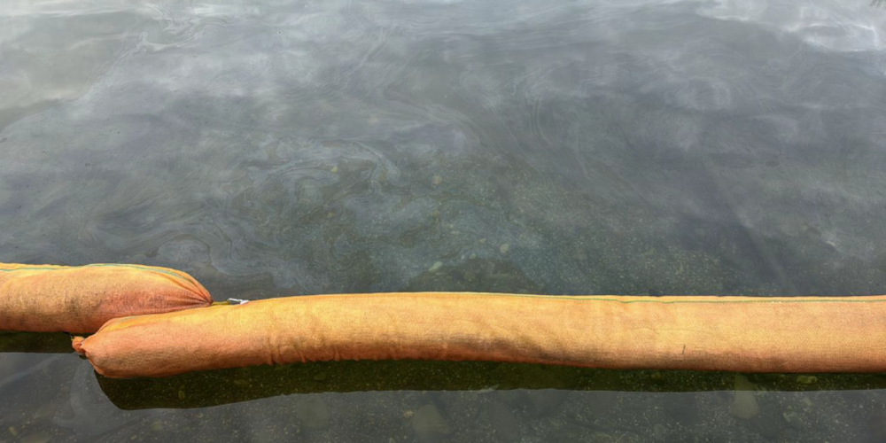 So wird der Ölfilm auf dem Werdenberger See gebremst.