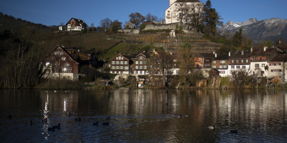 -l-verschmutzt-den-See-bei-Werdenberg-SG
