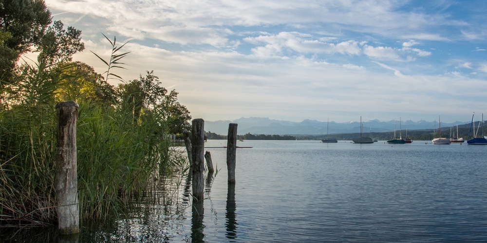 Die Greifensee-Region zählt zu den Gebieten im Kanton Zürich, die besonders stark von künstlichen Lichtemissionen betroffen sind.