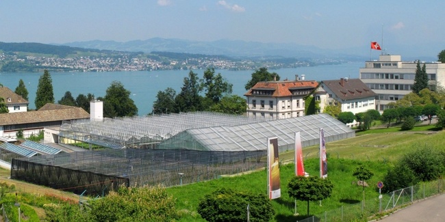 Die Agroscope-Versuchsflächen in Wädenswil bleiben vorerst erhalten, die geplante Verlagerung nach Lindau wurde sistiert.
