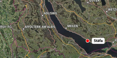 Der Töfffahrer verunfallte bei Einbiegen in die Seestrasse in Stäfa selber