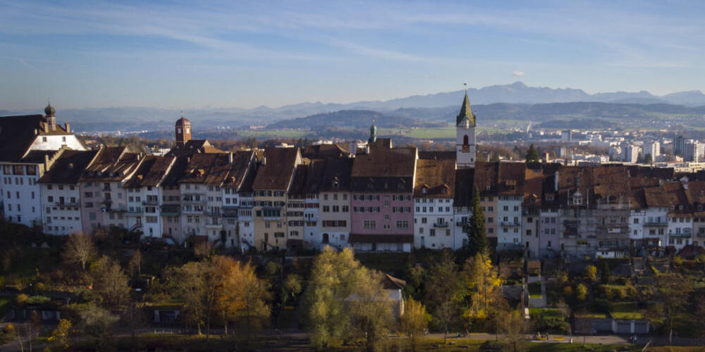 Beim Wiler Stadtweiher wurden Mitte November bei vier Enten und einem Schwan das Vogelgrippevirus nachgewiesen. (Archivbild)