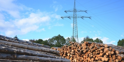 Die Partei will sich an der Kantonsratssession für die Energieproduktion aus Holz einsetzen. (Symbolbild)