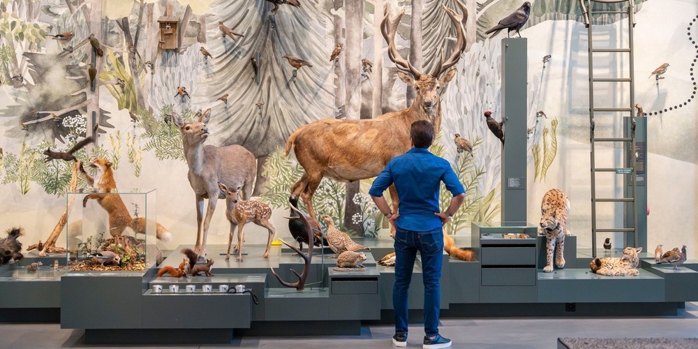 Blick ins Naturmuseum