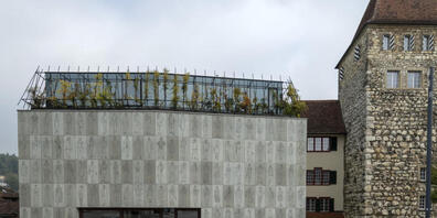 Das Stadtmuseum in Aarau: Die Stadt bewirbt sich um den Titel der "Kulturhauptstadt 2030". (Symbolbild)