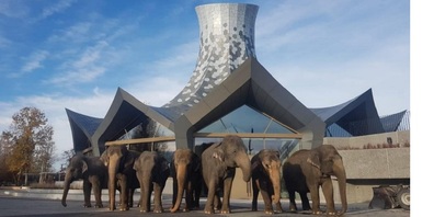 Knies Zauberhut in Rapperswil.