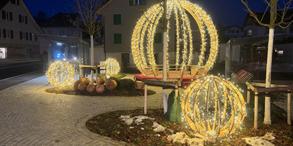 Nicht alle Einwohner(innen) von Eschenbach können sich über die neue Beleuchtung freuen.