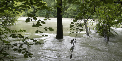 Schaffhauser Gemeinden erhalten künftig höhere Kantonsbeiträge für Schutzmassnahmen gegen Hochwasser. (Symbolbild)