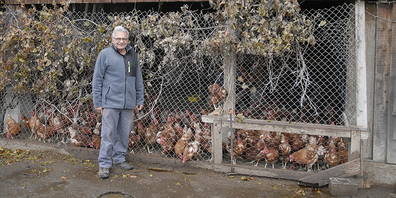 Die Hühner von Landwirt Toni Düggelin müssen vorerst drinnen bleiben.