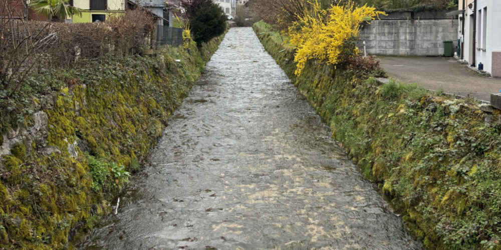 Der Kaltbrunner Dorfbach.