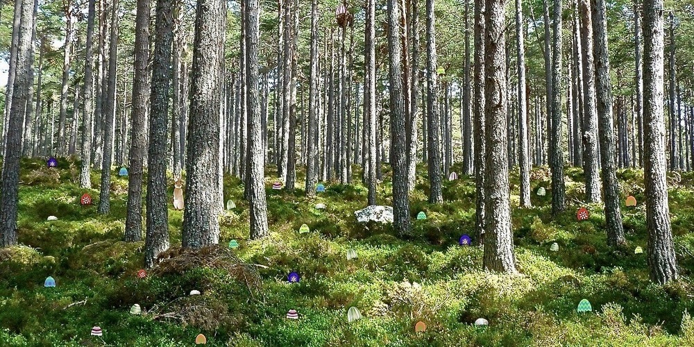 Die virtuelle Ostereiersuche der MSaAR fand viel Zuspruch