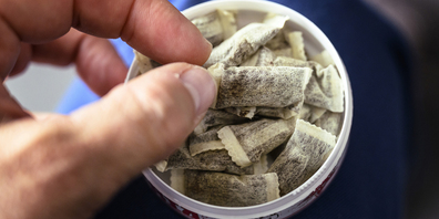 Werden immer beliebter: Snus und Nikotinbeutel.
