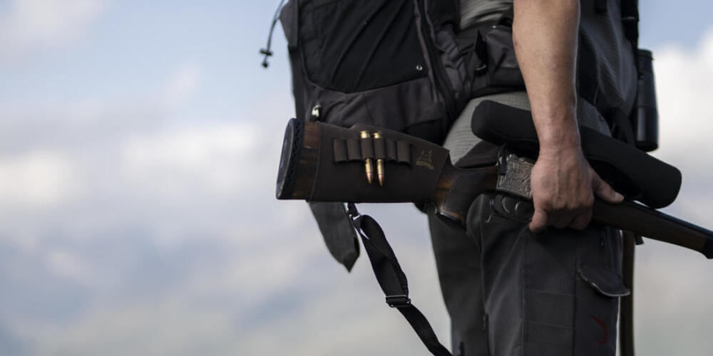Der Kanton Schwyz hat die Jagdsaison 2025 erfolgreich abgeschlossen. (Symbolbild)