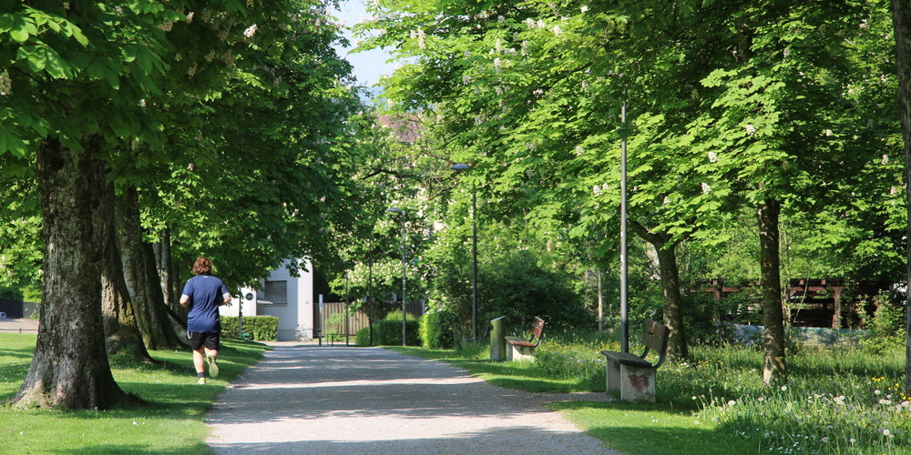 An den Rändern der Kreuzbleiche wurde bereits viel für die Biodiversität getan. Die Stadt will diese Bemühungen 2026 fortsetzen, die GPK beantragt aber, die Mittel dafür zu streichen