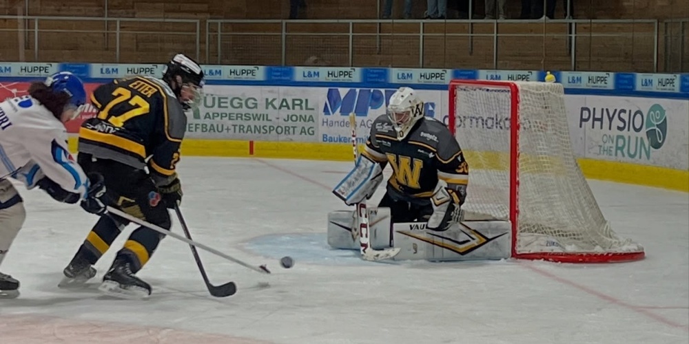 Es war ein hart umkämpftes Spiel, das sich in der Verlängerung gegen den EHC Wetzikon entschied.
