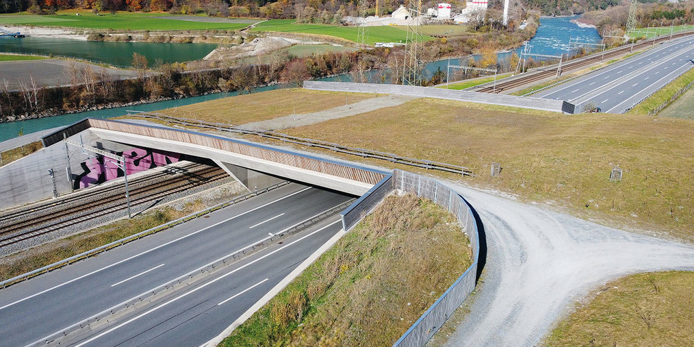 Wildüberführungen kosten in der Schweiz im Vergleich  zum benachbarten Ausland das Drei- bis Vierfache.