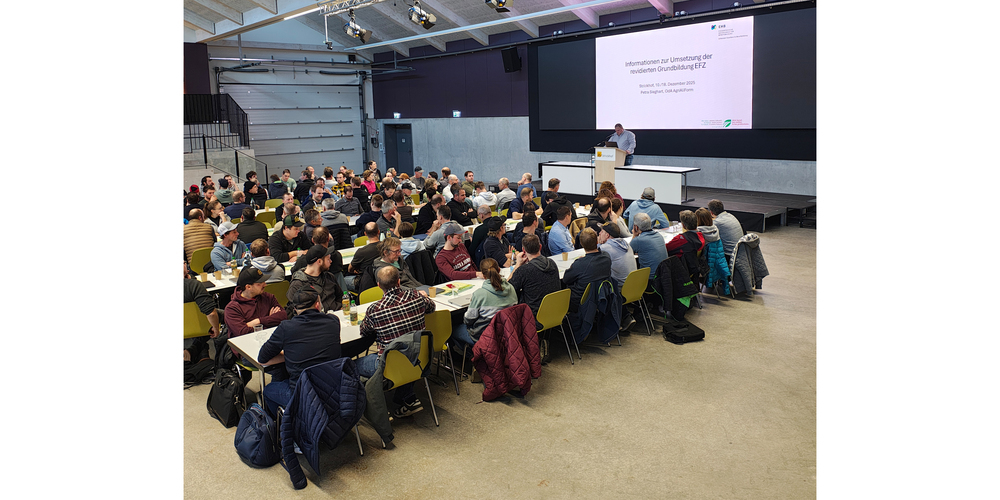 Neu umfasst die EFZ-Ausbildung statt 1600 nur noch 1500 Lektionen.