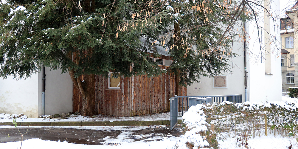 Wiborada-Jubil-umsjahr-Promis-ziehen-in-die-Zelle