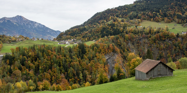 Wald bei Pfäfers: Manfred Haag berichtet in der neusten Ausgabe der «Terra plana» über Streitigkeiten rund um den Taminataler Wald im 19. Jahrhundert. 