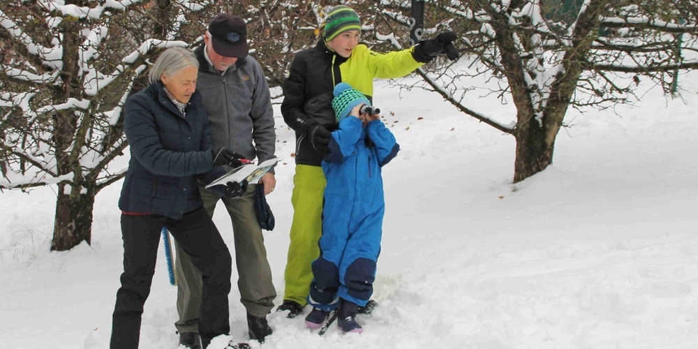 Mach mit an der Stunde der Wintervögel vom 9.-11. Januar.