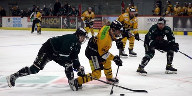 Zuletzt behaupteten sich die Wiler in einem umkämpften Duell gegen die gefährlichen Luchse.