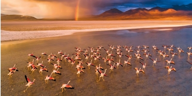 Die Show ist mit Fotograf Stefan Forster in der Bibliothek Mosnang