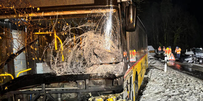 Ein Autofahrer kollidierte zwischen Herdern TG und Eschenz TG frontal mit einem entgegenkommenden Postauto.