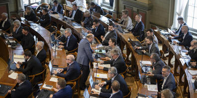 Damit ein Votum im St. Galler Kantonsrat in den Sozialen Medien viele Views erhält, braucht es zuerst eine gute Idee und danach einigen Aufwand für die Umsetzung. (Archivbild)