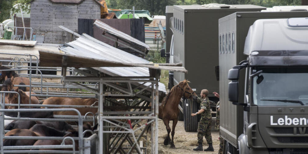 Im Sommer 2017 räumte das Veterinäramt Thurgau den Hof des Tierhalters in Hefenhofen. (Archivbild)