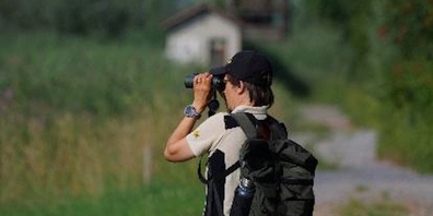 In Naturschutzgebieten der Linthebene und am Ricken sind seit Mitte Juni 2025 tageweise Ranger im Einsatz.