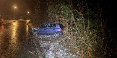 Der Fahrer musste seinen Führerausweis abgeben.