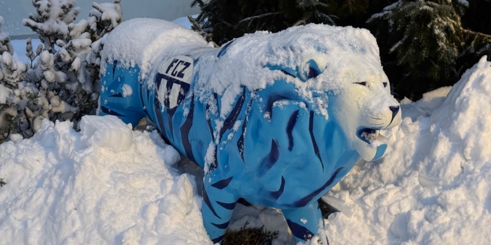 Hofft auf wärmere Tage: Der FCZ-Löwe versinkt im Schnee.