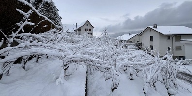 Bollingen in herrlicher Winterpracht.