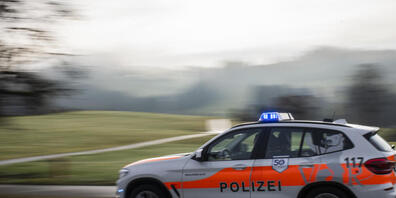 Mit eingeschaltetem Blaulicht konnte die Lenkerin von der Polizeipatrouille schliesslich angehalten und kontrolliert werden. (Themenbild)