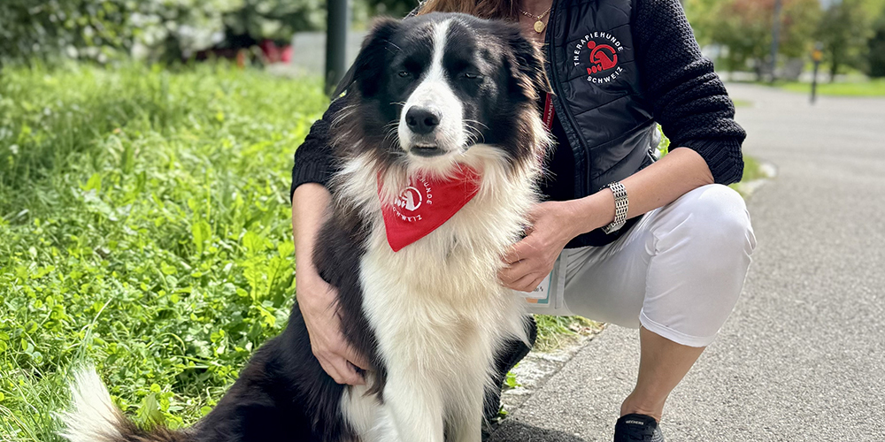 Der vierjährigen Border Collie / Australian Sheperd berührt als Therapiehund alle Herzen.