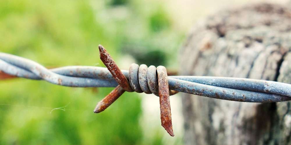 Jagd-und-Landwirtschaft-brauchen-einander