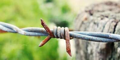 Wie wäre eine Forderung der Bauern an die Jäger? (Symbolbild)